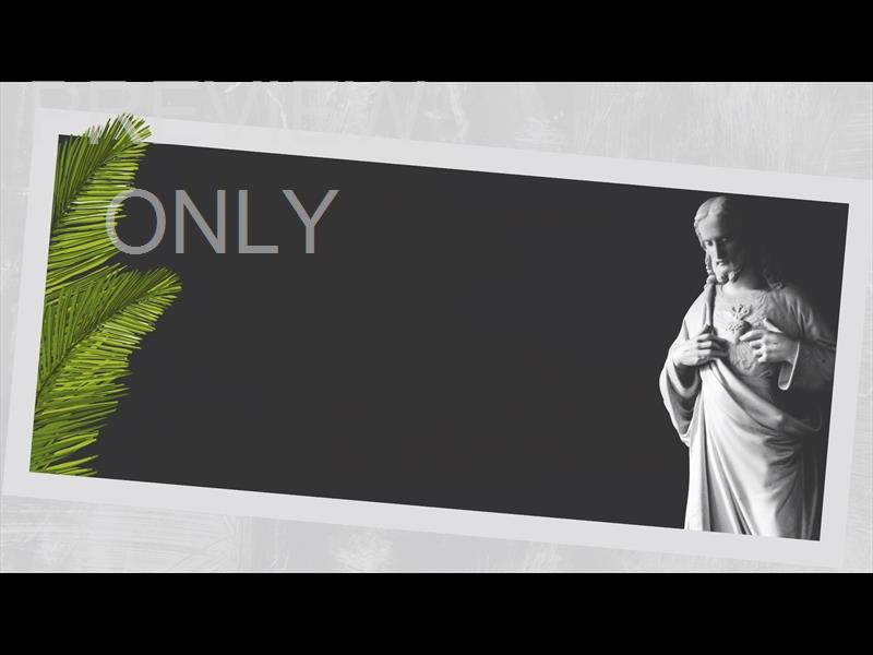 POLAROID PALM STILL 01