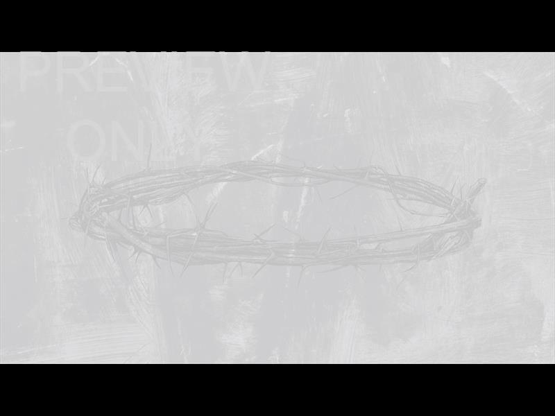 POLAROID PALM STILL 03