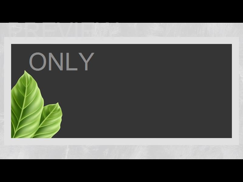 POLAROID PALM STILL 04