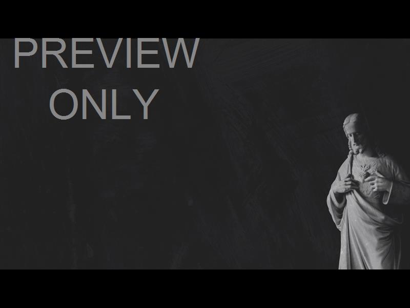 POLAROID PALM STILL 06