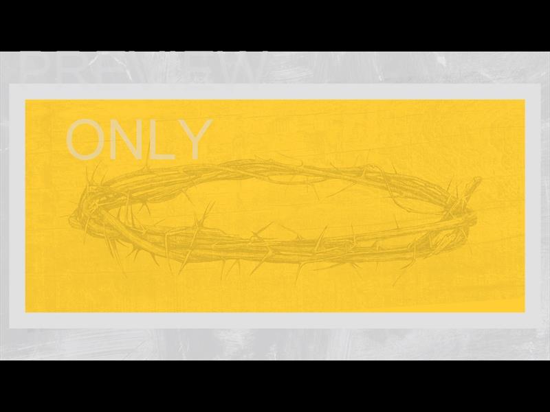 POLAROID PALM STILL 08