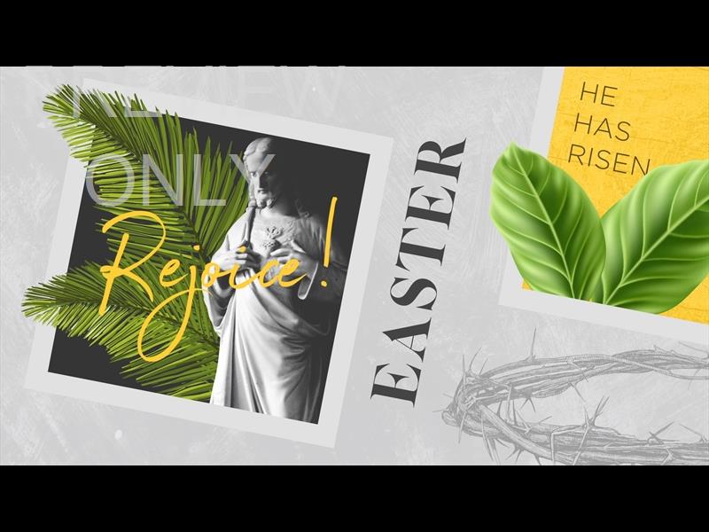 POLAROID PALM STILL EASTER