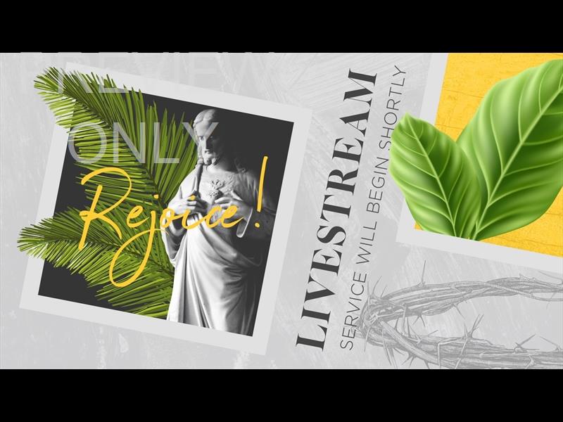 POLAROID PALM STILL LIVESTREAM