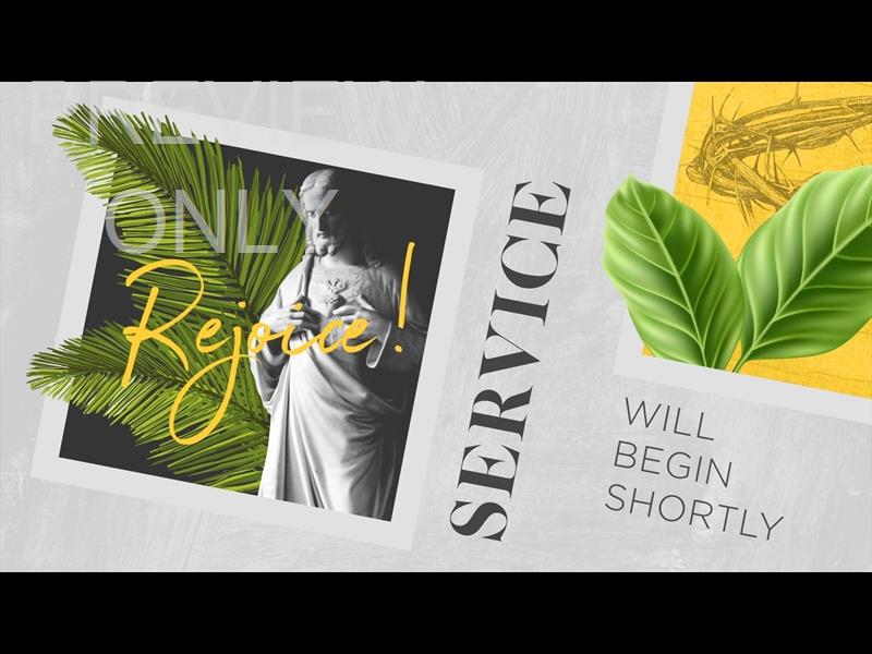 POLAROID PALM STILL SERVICE