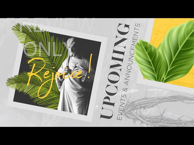 POLAROID PALM STILL UPCOMING