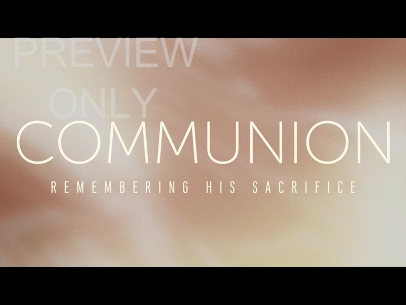 SHIMMER: STILL COMMUNION