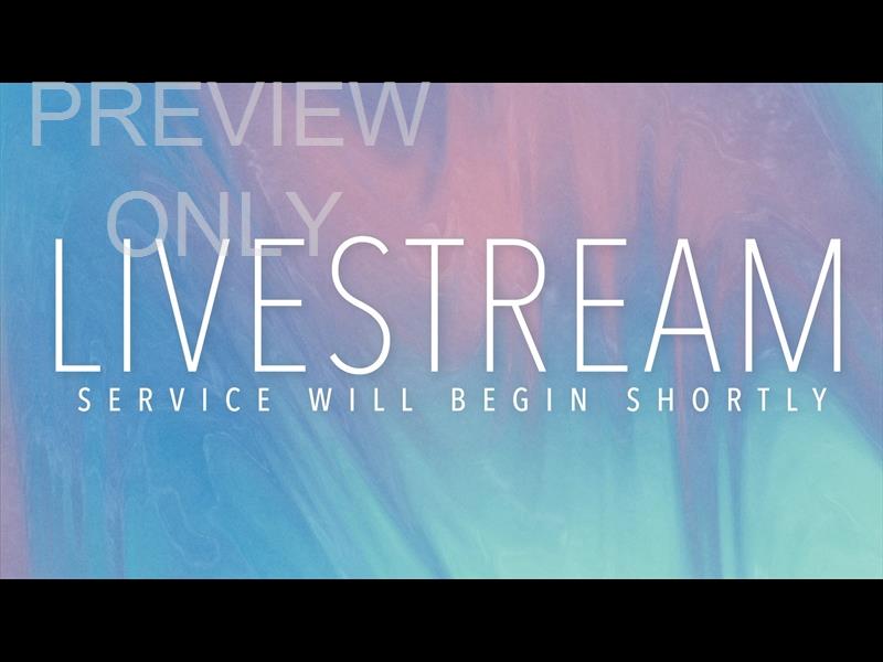 SPRINGTIDE STILL LIVESTREAM