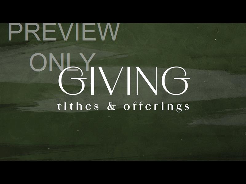 TANNENBAUM GIVING STILL