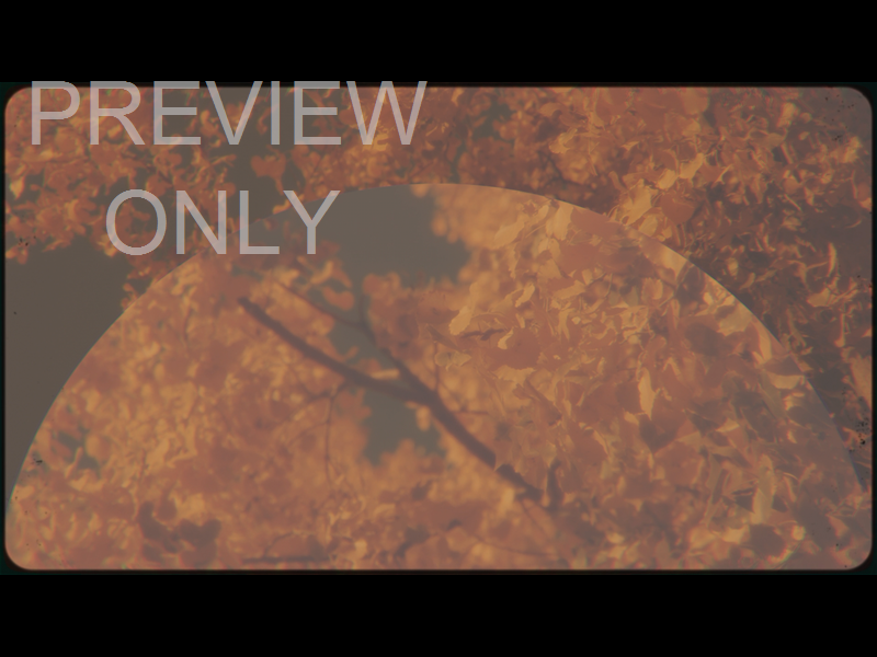 VINTAGE FALL STILL 01