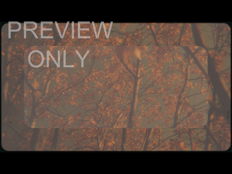 VINTAGE FALL STILL 06