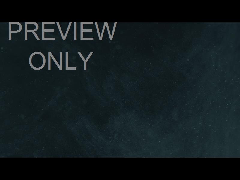 WINTER LUSTER: LOOP 13 STILL