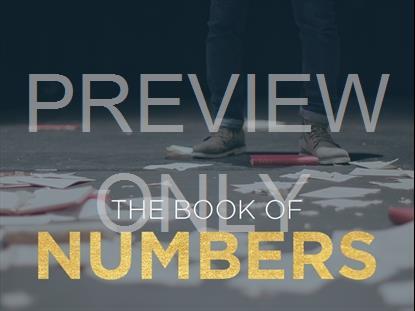 THE BOOK OF NUMBERS: SCATTERED BOOKS