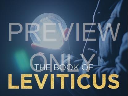THE BOOK OF LEVITICUS: LIGHTBULB 2