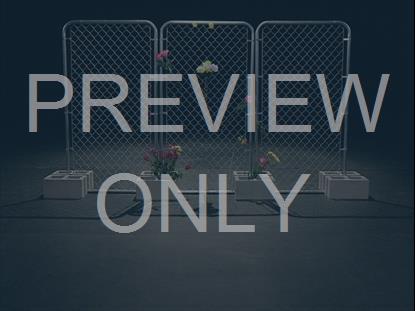 THE BOOK OF MARK - FENCE 2