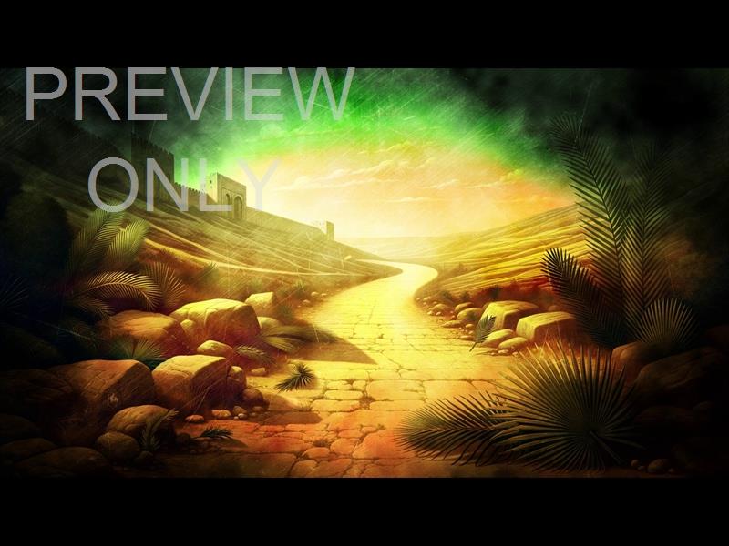 ROAD TO JERUSALEM PALM SUNDAY