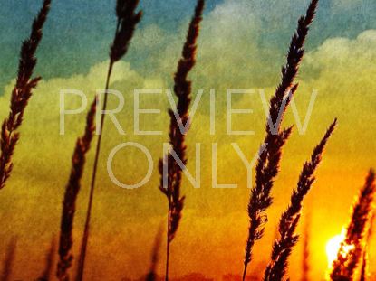 AUTUMN HARVEST STILL