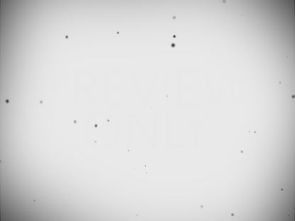 BLACK AND WHITE BLANK STILL