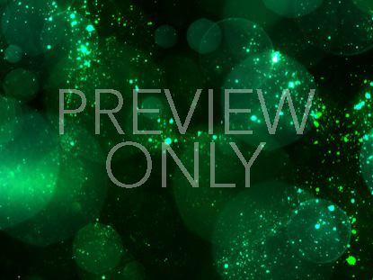 BOKEH GREEN STARS STILL 1