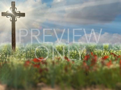 EASTER CROSS MEADOW STILL 1