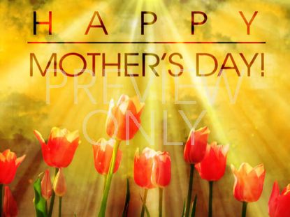 MOTHER'S DAY STILL 4