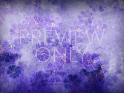 SPRING OR SUMMER BLANK STILL 1