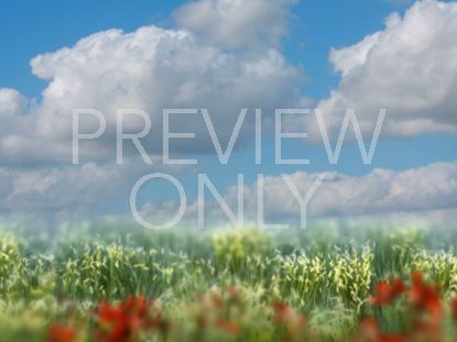 SPRING SUMMER WORSHIP STILL 3