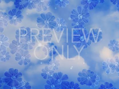 SUMMER BLANK STILL 2