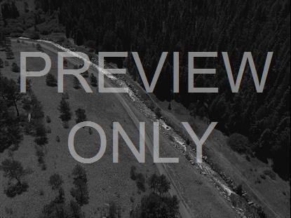 AERIAL FOREST REMIX STILL