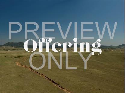 AERIAL OFFERING STILL