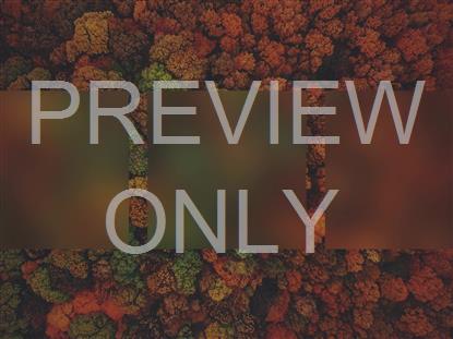 AUTUMN COLORS ABOVE ALT STILL