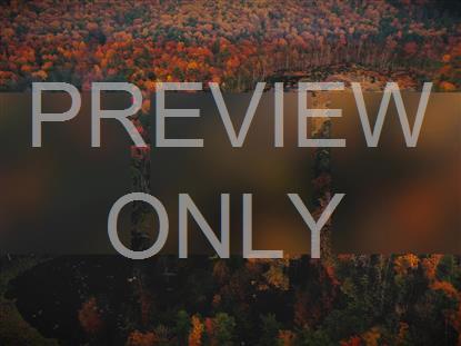 AUTUMN COLORS BURST ALT STILL