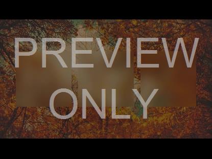 AUTUMN COLORS CANOPY ALT STILL