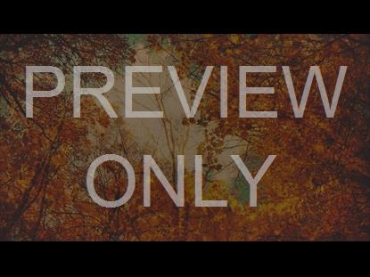 AUTUMN COLORS CANOPY STILL