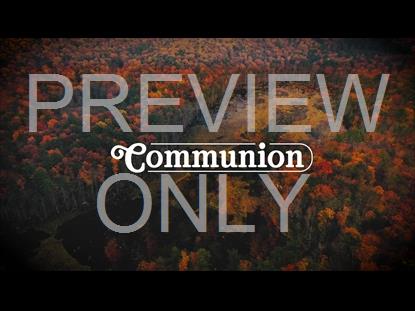 AUTUMN COLORS COMMUNION STILL