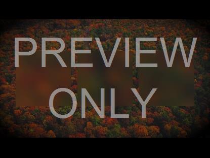 AUTUMN COLORS DRIVE ALT STILL