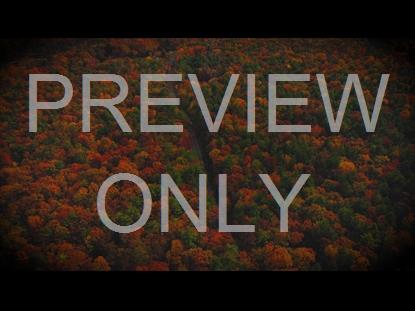 AUTUMN COLORS DRIVE STILL