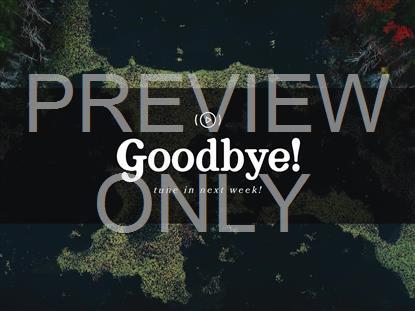 AUTUMN COLORS EXIT STREAM STILL