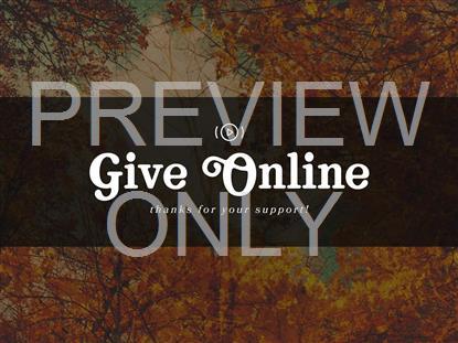 AUTUMN COLORS GIVE STREAM STILL