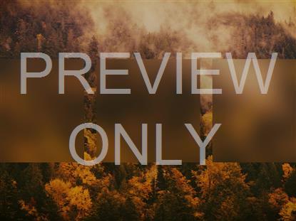 AUTUMN COLORS MISTY ALT STILL