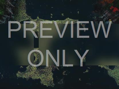 AUTUMN COLORS POND ALT STILL