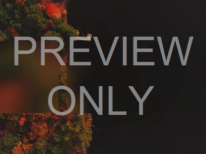 AUTUMN COLORS SHORE ALT STILL