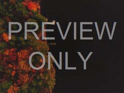 AUTUMN COLORS SHORE STILL