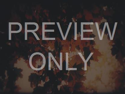 AUTUMN FIRE COALS SUBDUED STILL