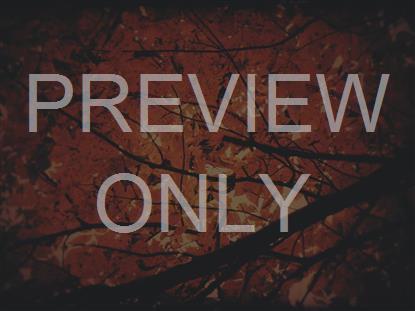 AUTUMN FIRE SMELTER SUBDUED STILL