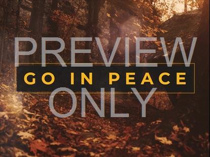 AUTUMN DREAM EXIT STILL