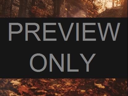 AUTUMN DREAM PATH BOX STILL