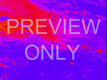 BLACK MARBLE COLORS 1 STILL