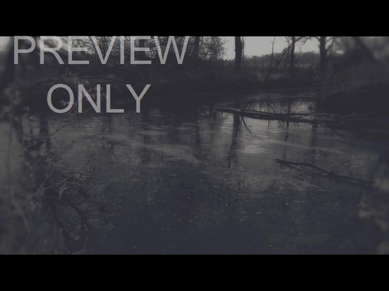 BLEAK BEAUTY FROZEN FADE STILL