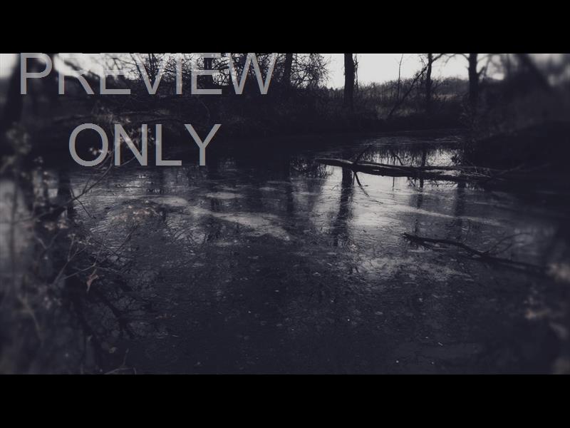 BLEAK BEAUTY FROZEN STILL