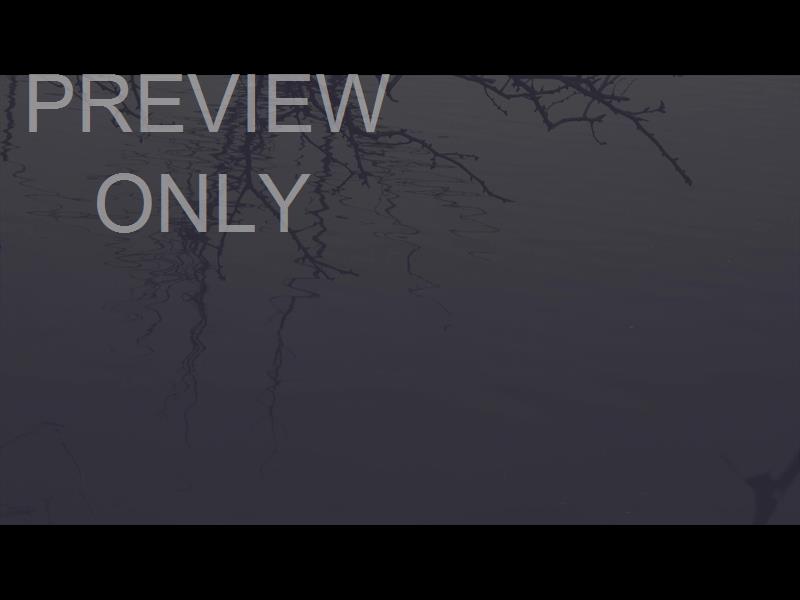 BLEAK BEAUTY POOL FADE STILL